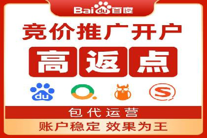 成功案例：sem竞价托管的智慧与策略